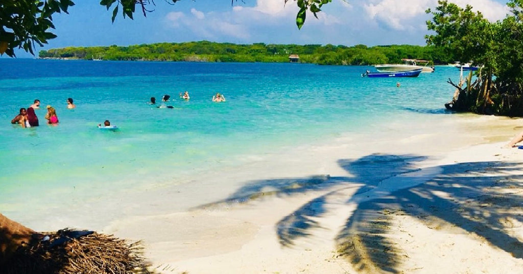 5 ISLAS (PREMIUM)